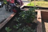 Yolanda’s Fundraiser – Wheelchairs for Veterans