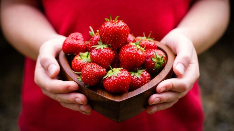 Tons of Berry Fun at the 36th Annual California Strawberry Festival | May 18-19, 2019