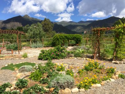 Earth Island Medicinal Herb Garden with Carol Wade and Lanny Kaufer