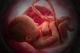 CDC: 1200 Fetal Deaths Due to Vaccine? No Problem