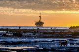 Understanding Oil Pollution: A Primer on the Santa Barbara Channel