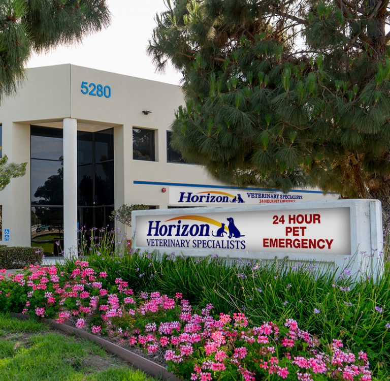 Horizon Veterinary Specialists in Ventura to host Open House – Sunday, 9-9-18