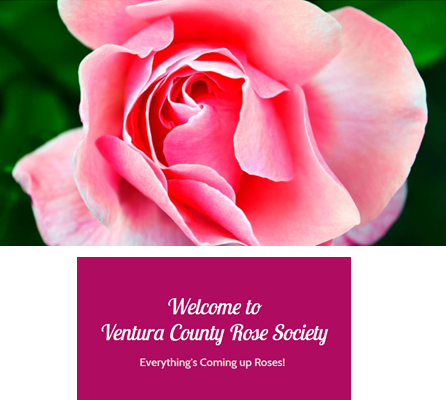 Ventura County Rose Society Monthly Meeting 10-25-18