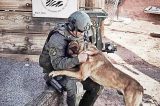 Oxnard | Police Service Dog Koa Retires After Six Years of Dedicated Service