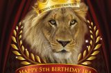 AMERICA’S TEACHING ZOO AT MOORPARK COLLEGE Welcomes the Community to Celebrate Ira the Lion’s Fifth Birthday