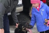 Little Girl Diagnosed With Inoperable Brain Tumor Receives Special Visit From 40 Dogs