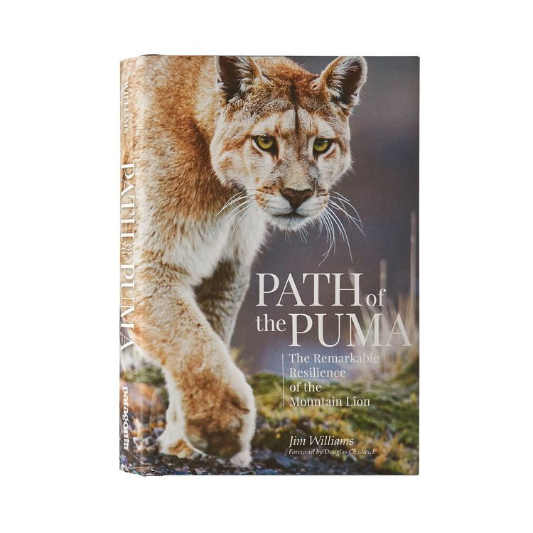 Patagonia and Los Padres ForestWatch Host Author and Renowed Mountian Lion Biologist Jim Williams In Ventura