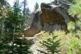 Summer Solstice Nature Hike on Pine Mountain Sunday June 23