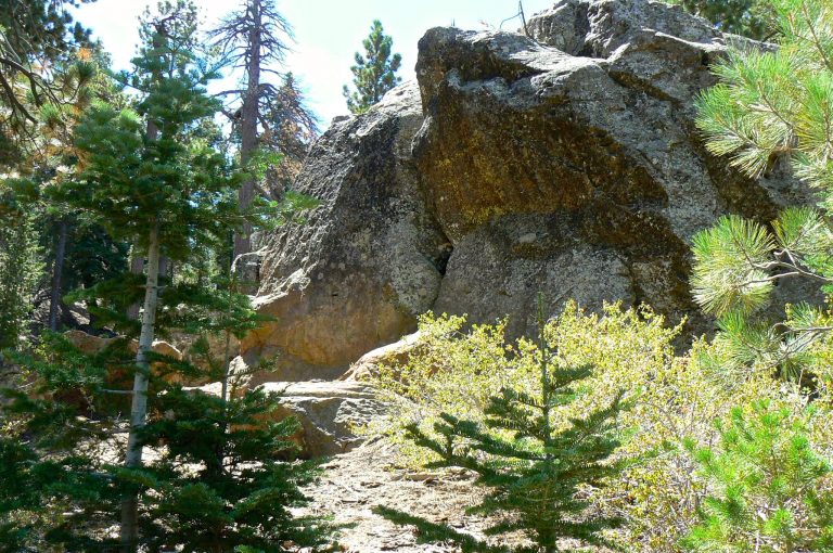 Celebrating the Summer Solstice | Nature Hike on Pine Mountain Sunday June 23