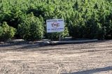 Camarillo City Council to Consider Hemp Cultivation Ordinance on January 8, 2020