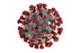 First Person-to-Person Transmission of Coronavirus Confirmed in United States