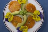 Recipe of the Week | Blood Orange Salad with Avocado