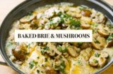 Recipe of the Week | Watch Fabio’s Kitchen: Baked Brie & Mushrooms