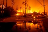 Wildfires Impact California The Most