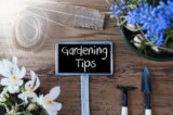 Gardening 101: Choosing the Right Plants for Your Zone
