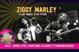 Ziggy Marley to Appear in Ventura on April 17