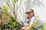 SEEAG Kicks Off 2nd “Let’s Grow A Garden” At-Home Student Learning Program
