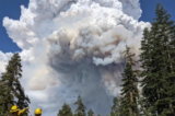 Dixie Fire Now Worst Single-Source Wildfire In California’s History