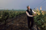 Rare Opportunity To Be Part Of A Santa Barbara Wine-Making Legacy