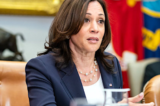 Kamala Harris Meets With Mexican President To Talk About Everything But The Border