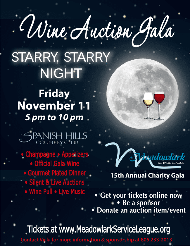 November 11th! Exciting Wine Auction Gala – Meadowlark Service Leaugue Charity Event